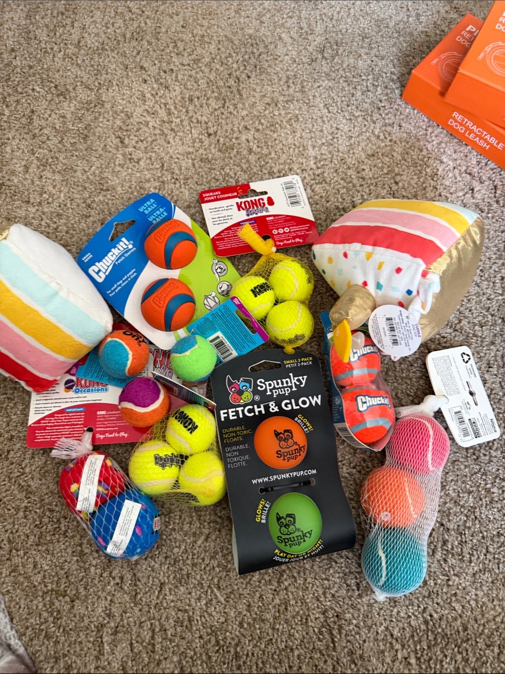 Spunky Pup Fetch & Glow and Assorted Kids Dog Toy Bundle - Multi-Color